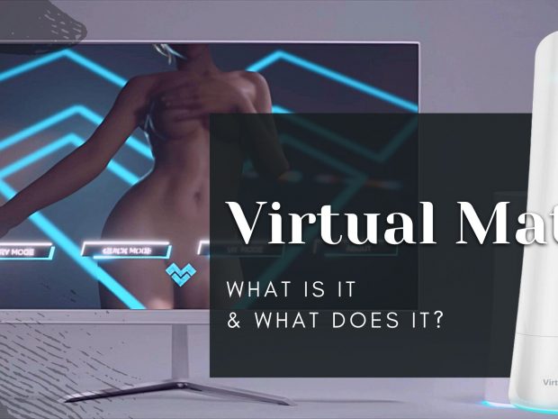 Virtual Mate sex toy