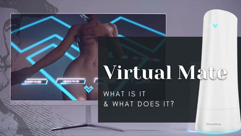Virtual Mate sex toy